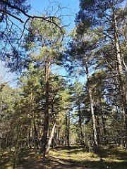 034_p20_IMG_20230430_093302