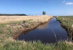 151_iP_230430_IMG_6717