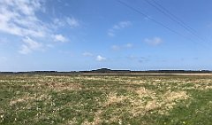 196_iP_230430_IMG_6732