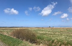 198_iP_230430_IMG_6734