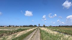 262_iP_230430_IMG_6740