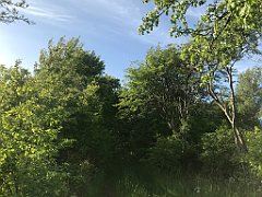 057_iP_230529_IMG_6754