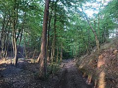 070_iP_230529_IMG_6765