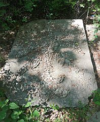 180_p20_IMG_20230602_145123