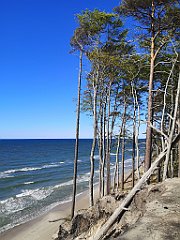 218_p20_IMG_20230602_165106