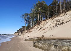 233_p20_IMG_20230602_165922