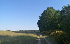 034_p20_IMG_20230608_081231