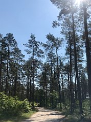 118_iP_230608_IMG_6846