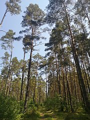 132_p20_IMG_20230608_111218