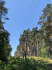 138_iP_230608_IMG_6849