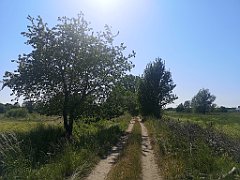 214_p20_IMG_20230608_155530