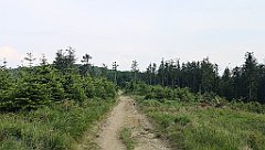 178_p20_IMG_20230617_170228