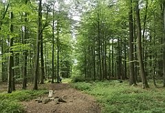 033_p20_IMG_20230618_130157