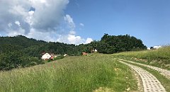 053_ip_230619_IMG_6889