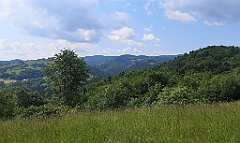 058_p20_IMG_20230619_101310