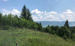 088_ip_230619_IMG_6893