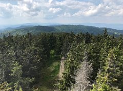 219_ip_230619_IMG_6901