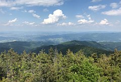 239_ip_230619_IMG_6913