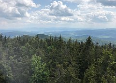 253_ip_230619_IMG_6934