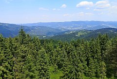 113_p20_IMG_20230620_130347