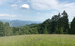 191_ip_230620_IMG_6981