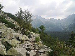 033_p20_IMG_20230822_092041