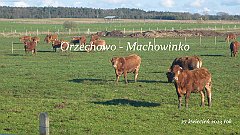 2023_04_27_Orzechowo_Machowinko