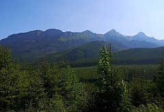 021_p20_IMG_20250616_084107