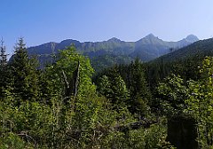 028_p20_IMG_20250616_085253