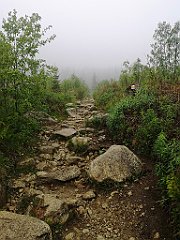 006_p20_IMG_20250617_092931