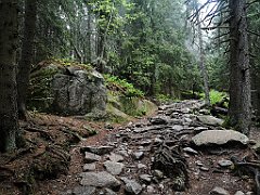 007_p20_IMG_20250617_095327