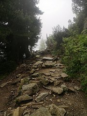 009_p20_IMG_20250617_101845