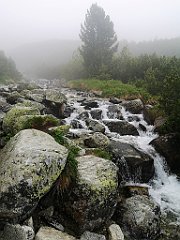 012_p20_IMG_20250617_103505