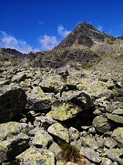 100_p20_IMG_20250617_125706