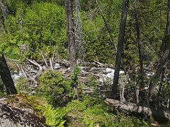 031_p20_IMG_20250618_115607