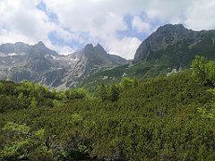 047_p20_IMG_20250618_123742