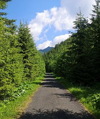 026_p20_IMG_20250619_100032