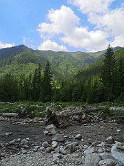 049_p20_IMG_20250619_104337