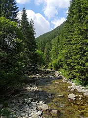 061_p20_IMG_20250619_111138