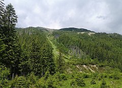 067_p20_IMG_20250619_113244