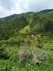 068_p20_IMG_20250619_113433