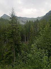 071_p20_IMG_20250619_122250