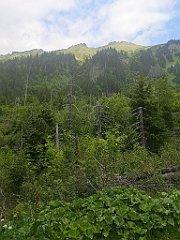 087_p20_IMG_20250619_124638