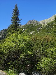 036_p20_IMG_20250620_100640