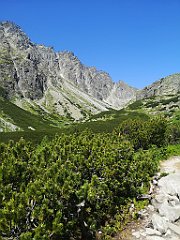 045_p20_IMG_20250620_104902