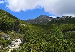 046_p20_IMG_20250621_115007