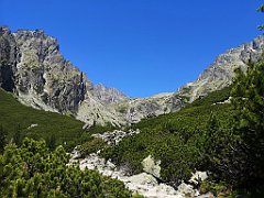 102_p20_IMG_20250622_113048