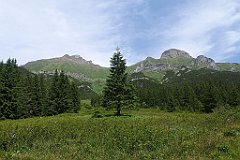 045_p20_IMG_20250623_123853