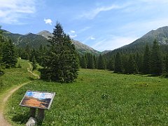 050_p20_IMG_20250623_124214