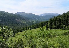 070_p20_IMG_20250623_131142